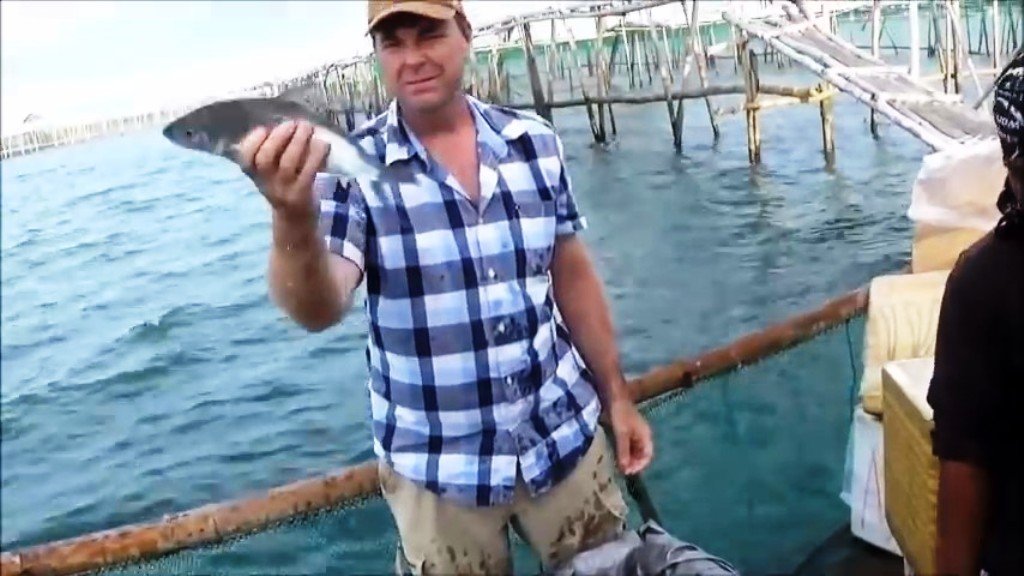 Jason at his fish harvest.jpg